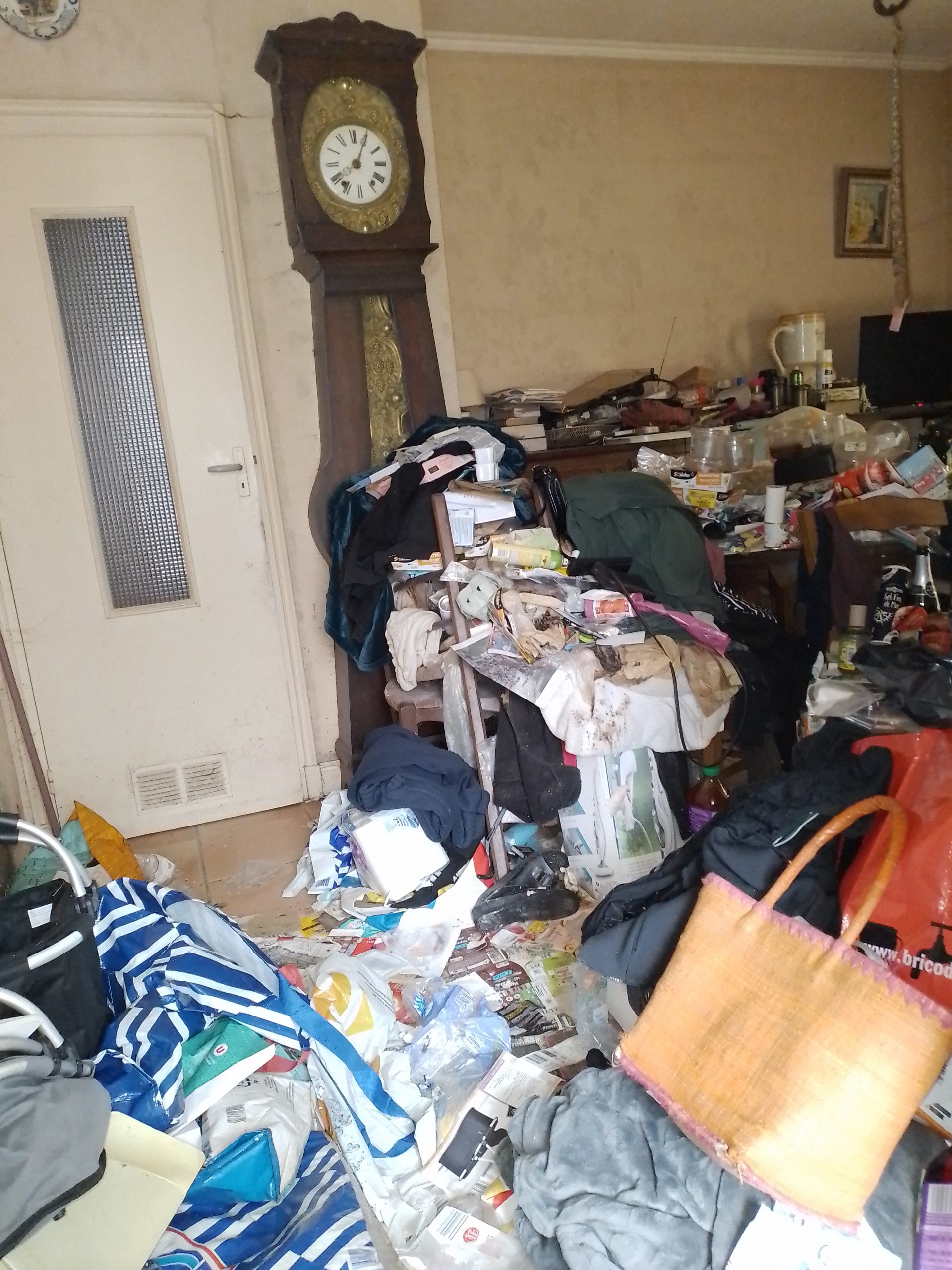 Nettoyage après infestation : Guide complet pour éradiquer rats, cafards et punaises de lit 20250424 143529 Scaled
